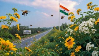 National Highways Authority of India has launched a new initiative called "Bee Corridors" on national highways